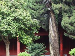 -法雨寺餐厅