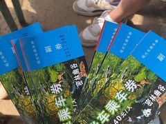 -沈阳森林动物园
