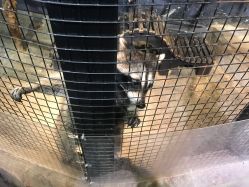 -酷嗒动物文化乐园(cutezoo西溪乐天城店)