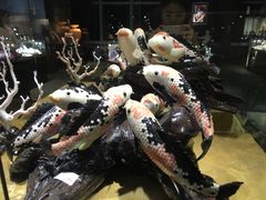 -绮丽珊瑚(台北101旗舰门市店)
