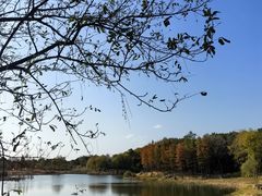 -贡湖湾湿地公园
