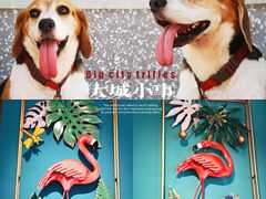 -柠檬树茶餐厅(海雅缤纷城店)