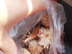 -日照灯塔风景区