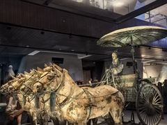 -陕西自然博物馆