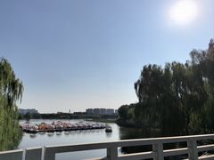 -大兴滨河森林公园