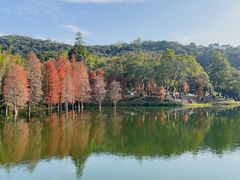 -广州市白云山风景名胜区