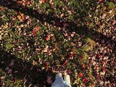 -北京宽沟会议中心