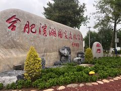 -合肥滨湖国家森林公园