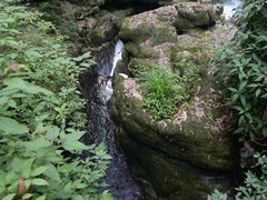 -峨眉山报国寺