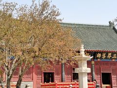 -天津大悲禅院