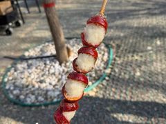 -辛庄国际文化艺术区