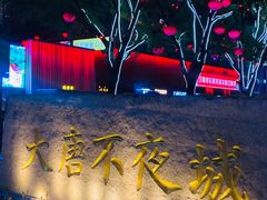 -大唐不夜城