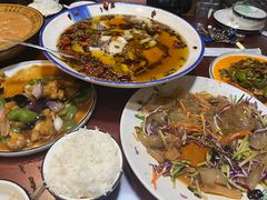 -邵年鸽(杨庄店)