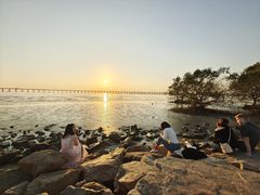 -宝安西湾红树林湿地公园