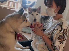 -Husky Go! 哈士奇体验馆·宠物咖啡厅狗咖