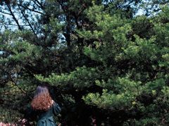-南山植物园