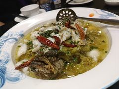 -OLD TREE老树咖啡·西餐厅(台山人工湖店)