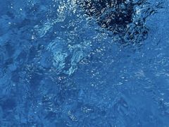 -温州体育中心游泳馆