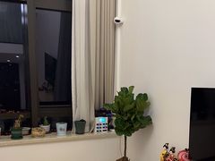 -八号公馆·老上海SPA(深圳北站店)