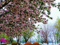-云龙湖旅游景区