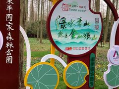 -东平国家森林公园