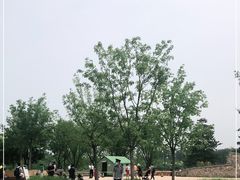 -东郊湿地公园