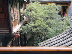 -鱼桥巷·美学川菜