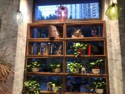 -T.1 hair salon烫染接发
