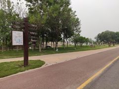 -武清南湖绿博园