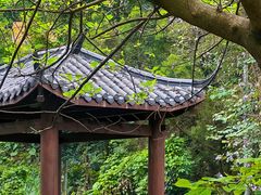 -火炉山森林公园