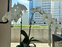 -上海明天广场JW万豪酒店