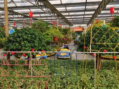 -南宫温泉水世界