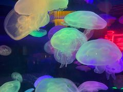 -太平洋海底世界