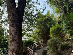 -洪崖丹井