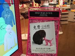 -Victoria's Secret(杭州湖滨银泰in77店)