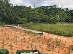 -谷丰健康凤贤居酒家