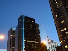 -正宗上海生煎包(North York)