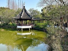 -上海醉白池公园