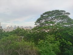 -佛山华盖山公园