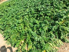 门面-呼吸森林·生态农庄农家乐私房菜