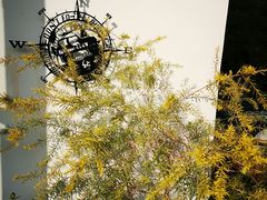 -梧桐山风景名胜区