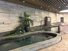 -天目湖涵田半山温泉