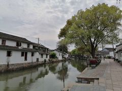 -状元楼(金溪路店)