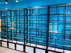 -Trend1881视光·蔡司视觉(领展广场店)