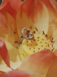 -北京七彩云南翡翠珠宝旗舰店(月坛店)