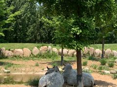 -北京野生动物园