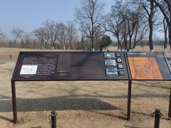 -汉长安城未央宫国家考古遗址公园