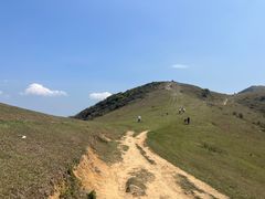 -大姆山草场