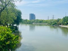 -九里河湿地公园