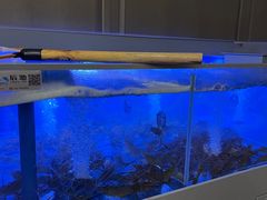 -厨艺海鲜自助餐厅•越秀宾馆希尔顿格芮精选酒店